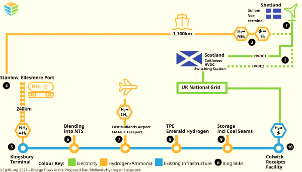 H2 and Ammonai Spaghetti Economy
